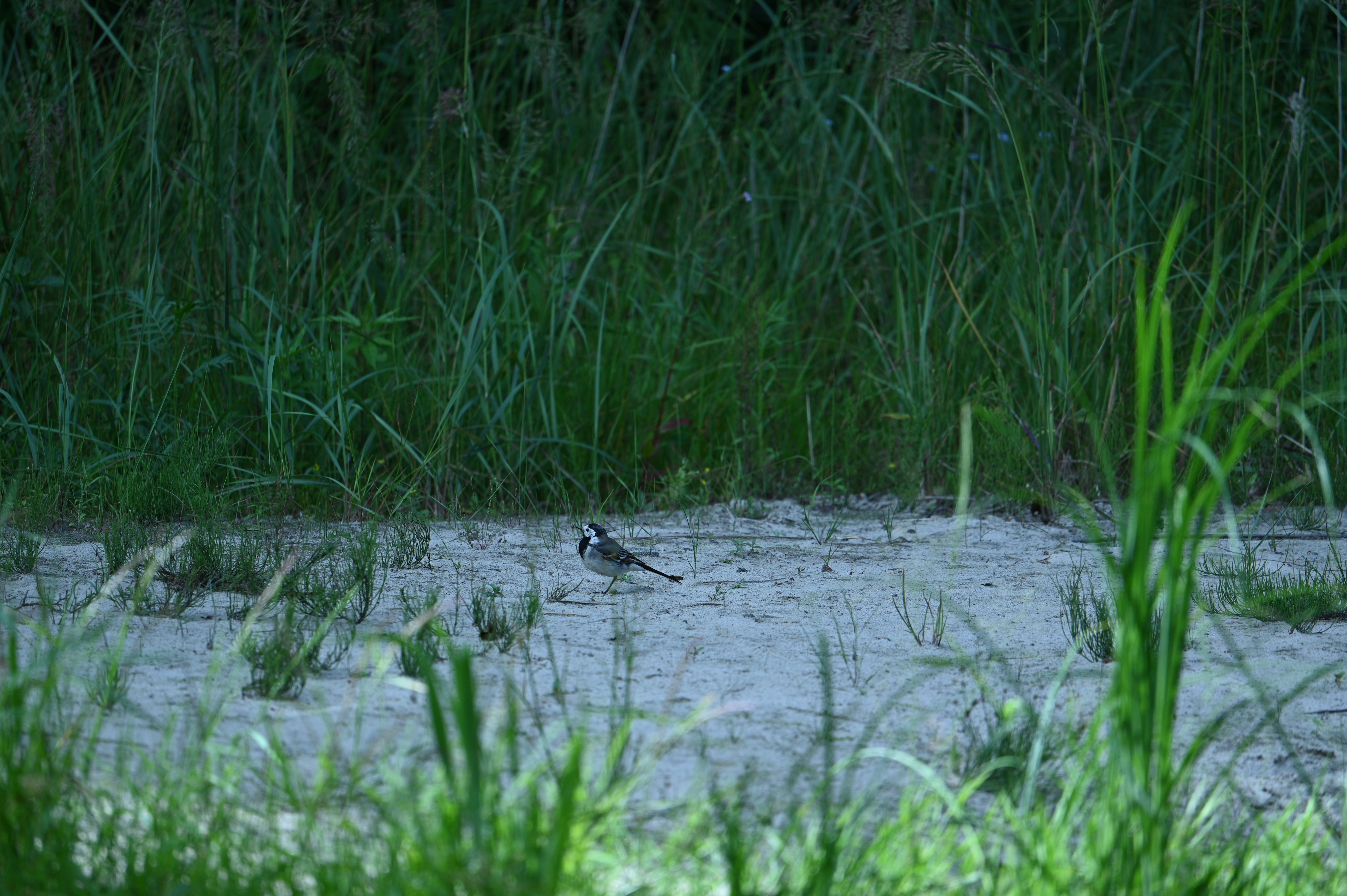 2025/07/09-14 - trip/DSC_0326.JPG